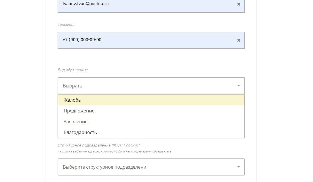 Screenshot of: Выберите вид обращения из списка. 