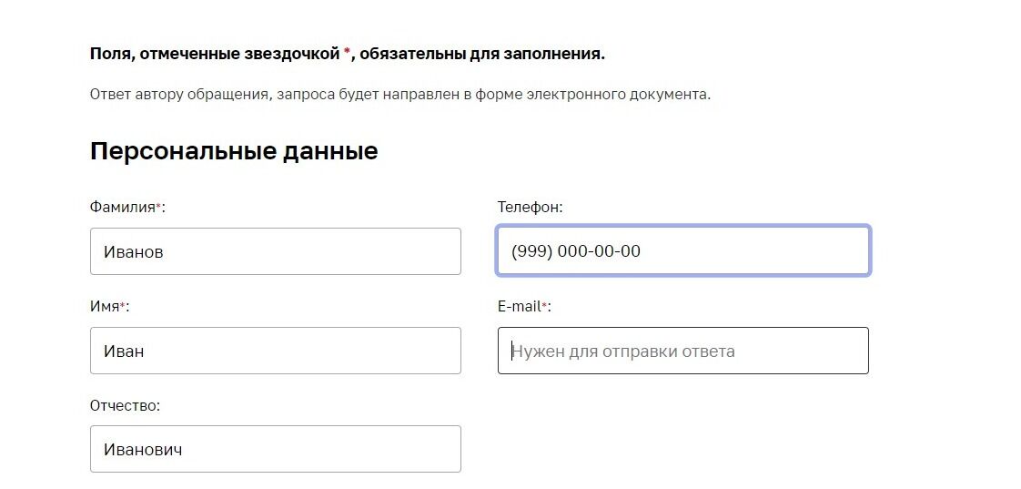 Screenshot of: Укажите Ваш адрес электронной почты. Он понадобится для отправки Вам ответа. 