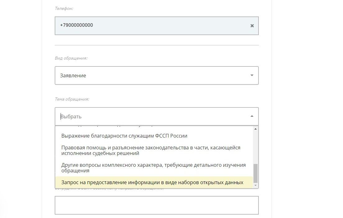 Screenshot of: Выберите тему обращения. Например, "Запрос на предоставление информации в виде наборов открытых данных".