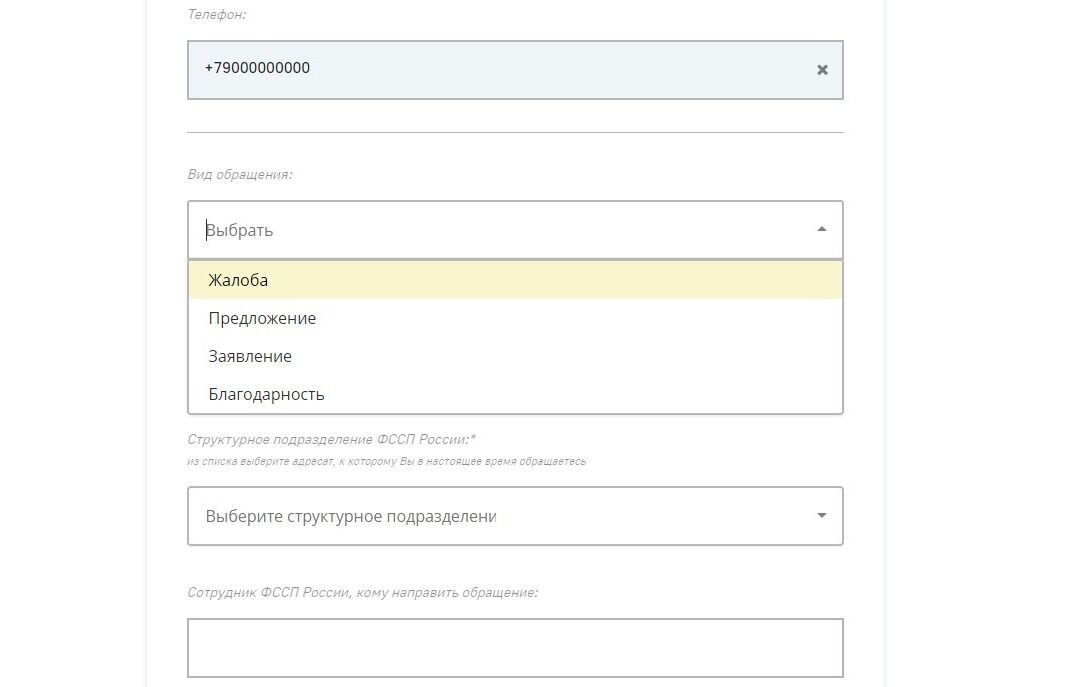 Screenshot of: Выберите вид обращения. Например, "Заявление".