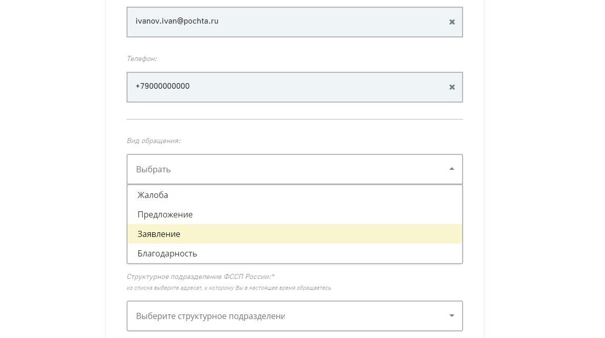 Screenshot of: Выберите вид обращения. Например, "Заявление".