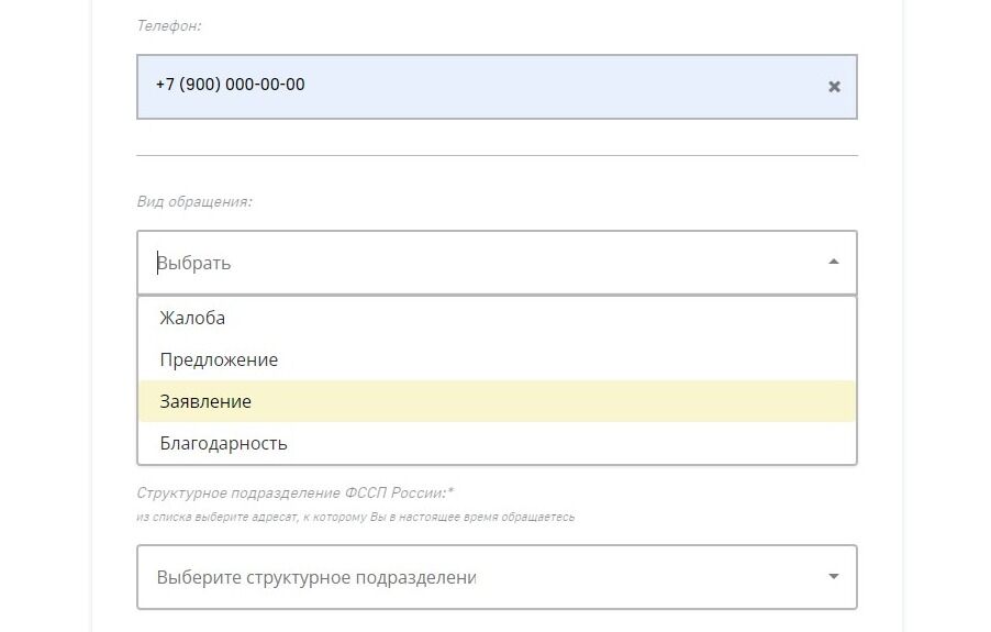 Screenshot of: Выберите вид обращения. Например, "Заявление".