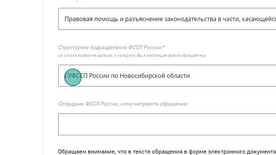Screenshot of: Выберите структурное подразделение, например, ГУФССП России по Новосибирской области.