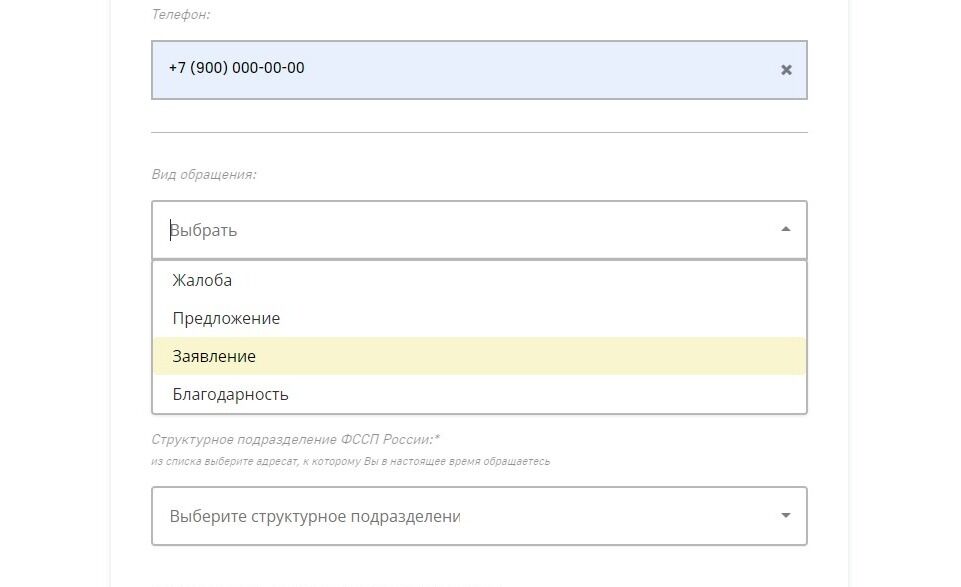 Screenshot of: Выберите вид обращения. Например, "Заявление".