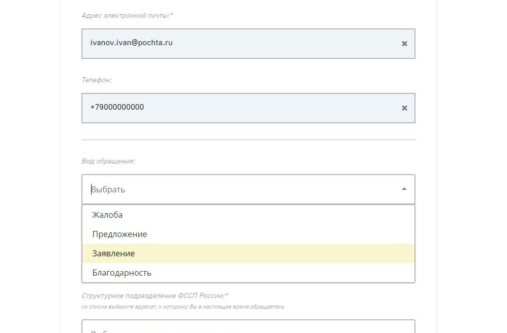 Screenshot of: Выберите вид обращения. Например, "Заявление".
