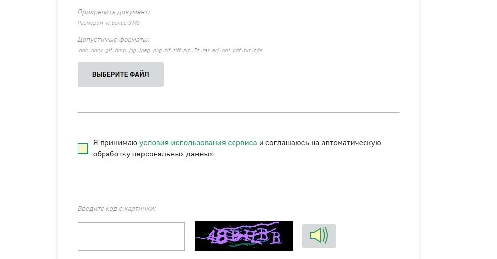 Screenshot of: Поставьте галочку о том, что принимаете условия использования сервиса и соглашаетесь на автоматическую обработку персональных данных.