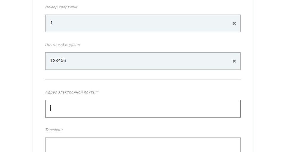 Screenshot of: Укажите Ваш адрес электронной почты.