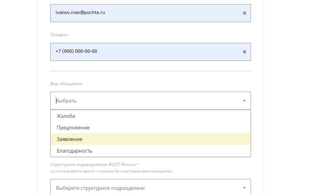 Screenshot of: Выберите вид обращения. Например, "Заявление".