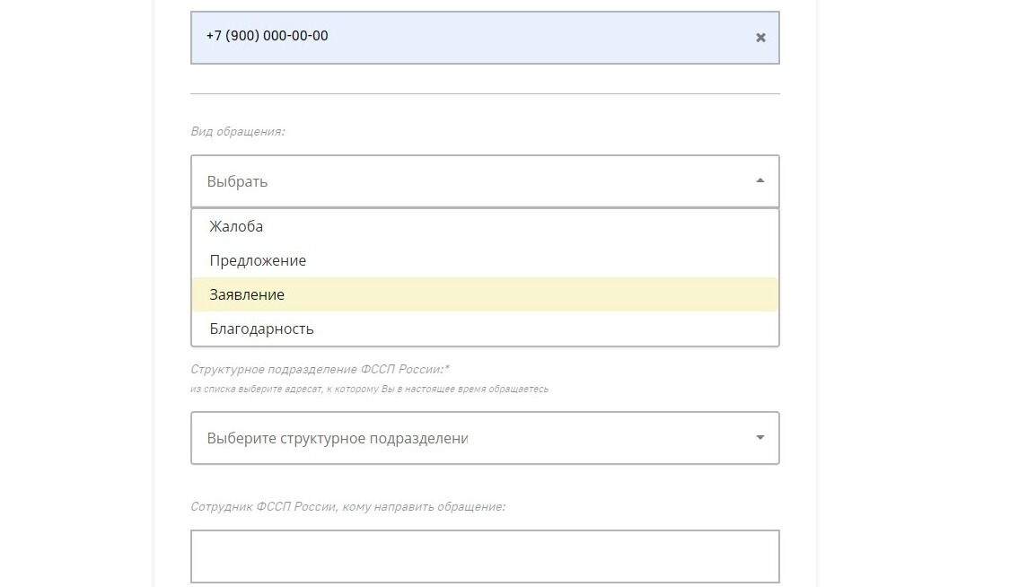 Screenshot of: Выберите вид обращения. Например, "Заявление".