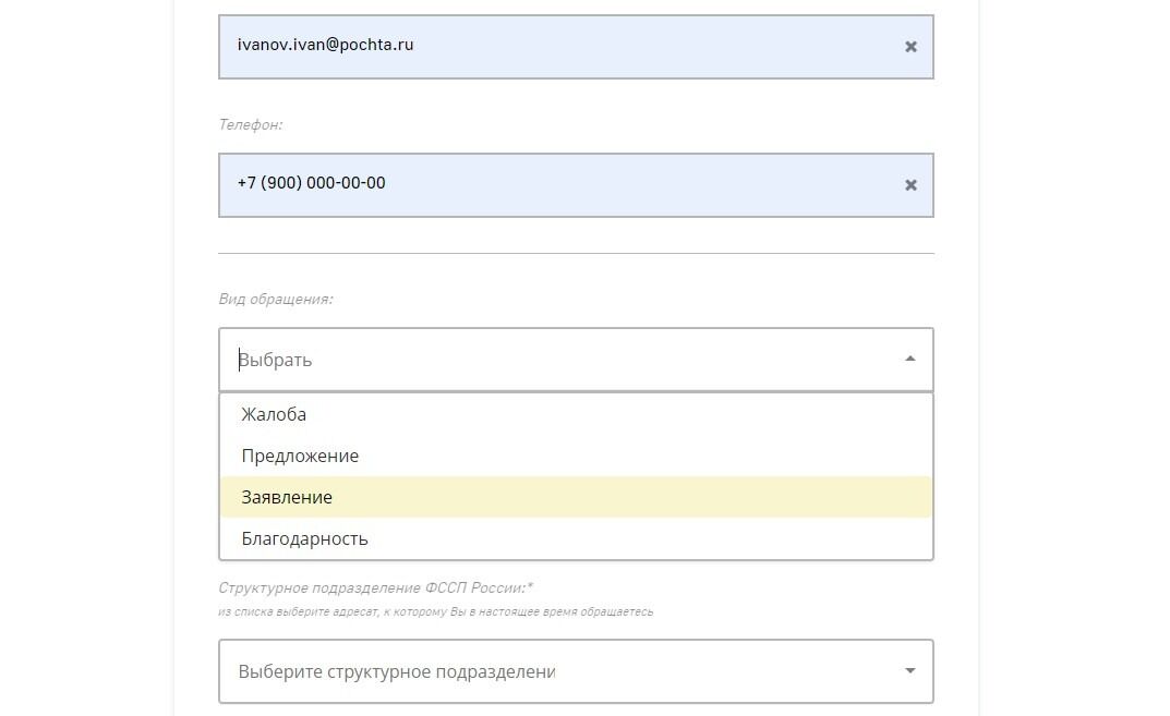 Screenshot of: Выберите вид обращения. Например, "Заявление".