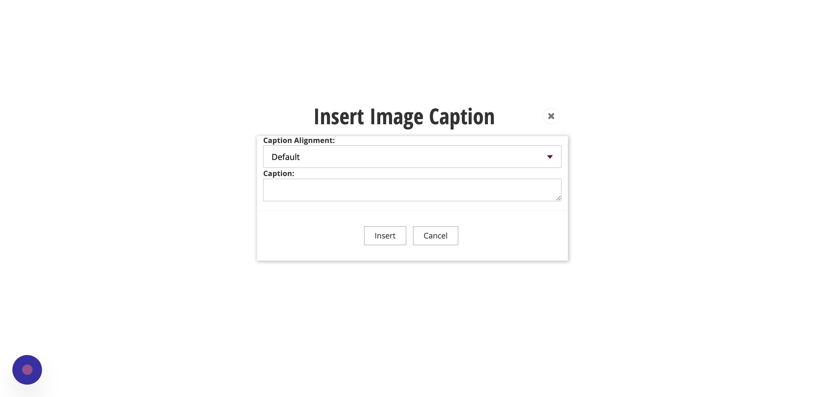 Screenshot of: Add your caption to the Caption field and click the insert button.