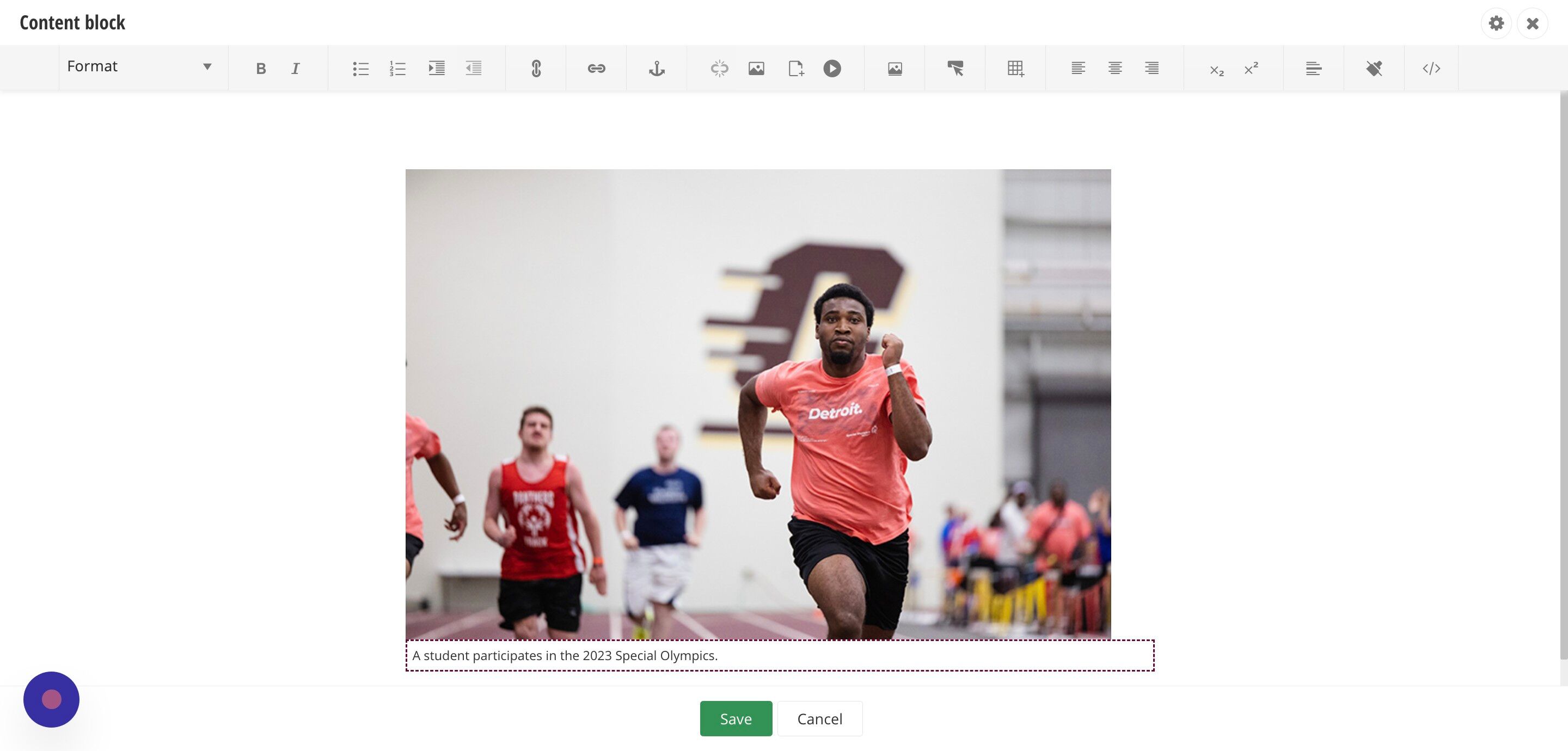 Screenshot of: Your image with a caption below it will appear. Click on the green Save button to save your work.