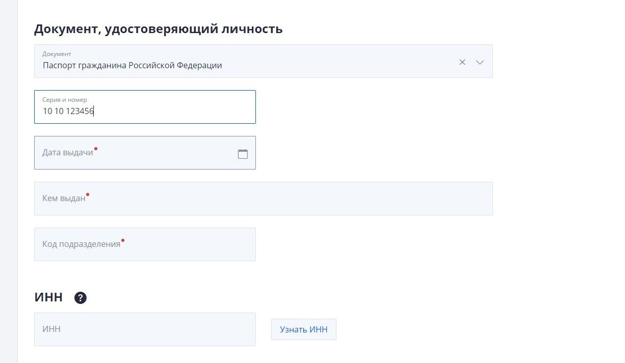 Screenshot of: Введите дату выдачи документа. 