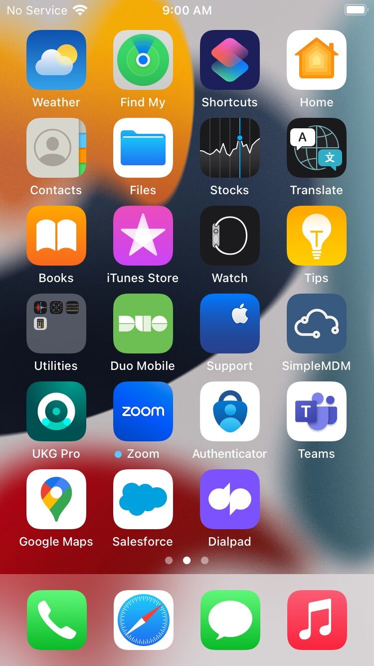 Screenshot of: Tap the Salesforce icon.