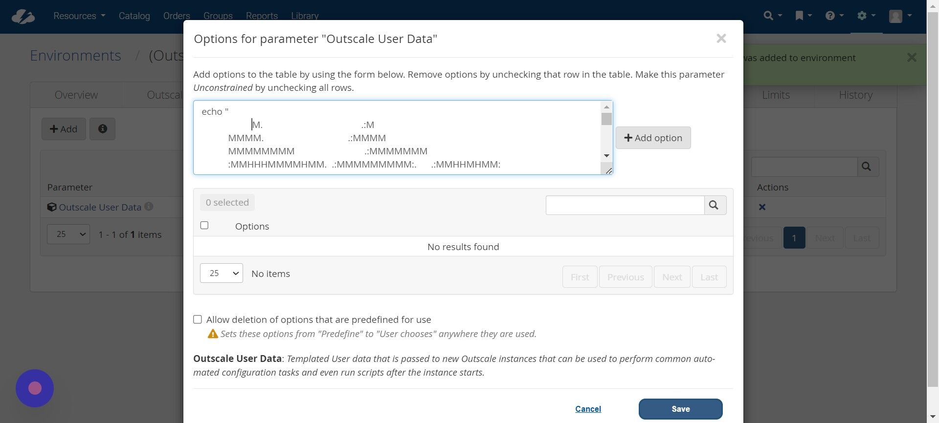 Screenshot of: Enter the User Data script in the Options form that appears.