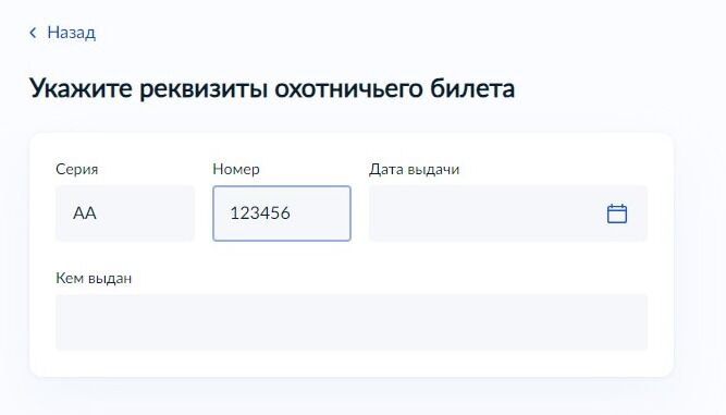 Screenshot of: Введите дату выдачи билета. 