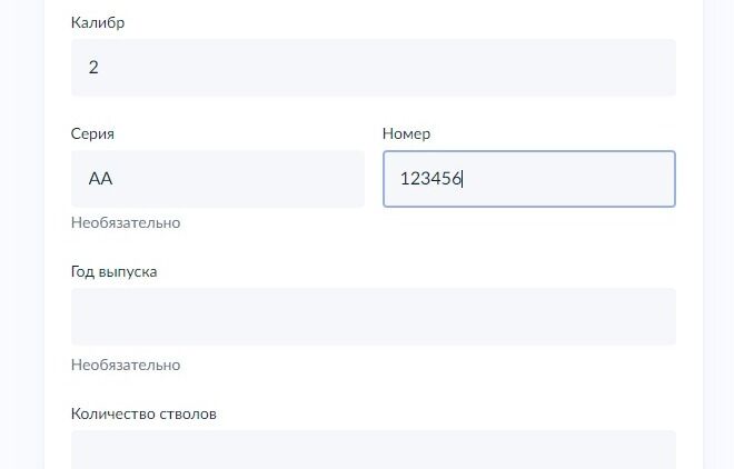Screenshot of: Введите год выпуска (если известно). 