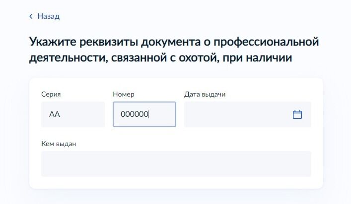Screenshot of: Укажите дату выдачи документа. 