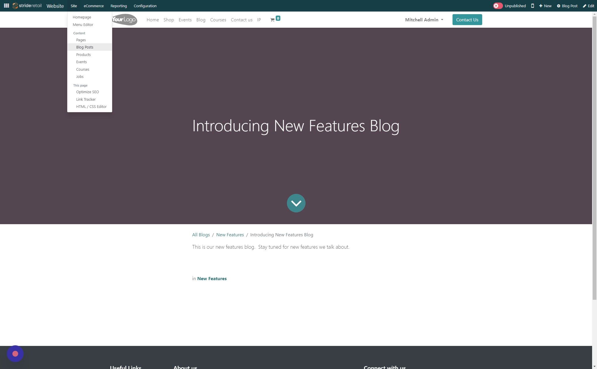 Screenshot of: Click "Blog Posts"