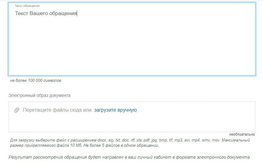 Screenshot of: При необходимости Вы можете добавить электронный образ документа. Внимательно прочтите требования к загружаемому файлу.