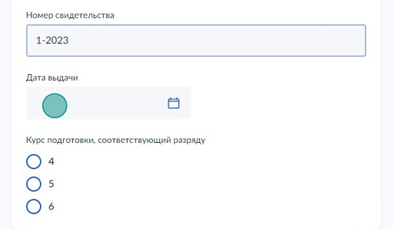 Screenshot of: Укажите дату выдачи.