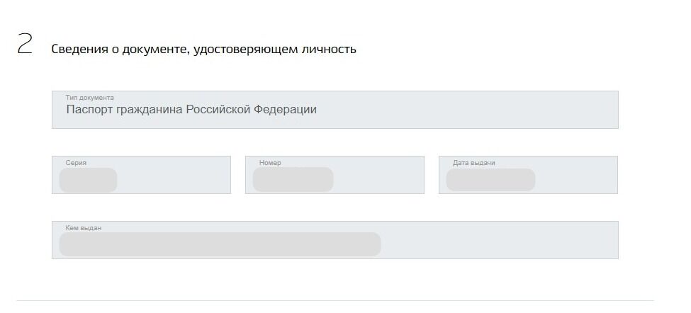 Screenshot of: Раздел "Сведения о документе" заполняется автоматически, проверьте правильность данных. 