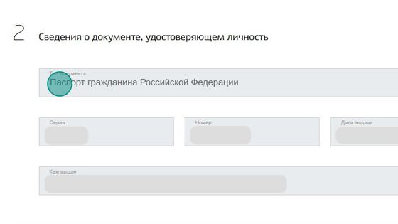 Screenshot of: Раздел "Сведения о документе" заполняется автоматически, проверьте правильность данных. 