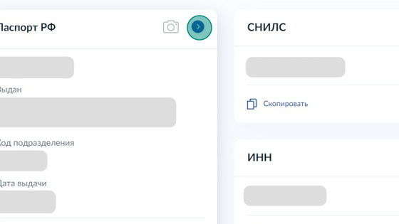 Screenshot of: Выберите "Паспорт РФ" и нажмите значок "стрелочки". 