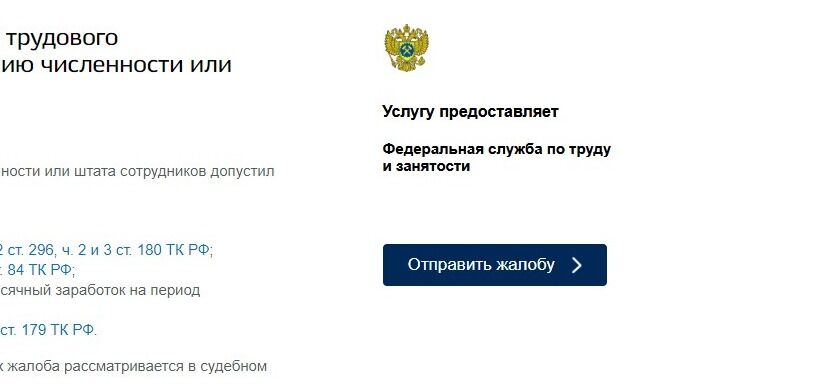 Screenshot of: Ознакомьтесь с информацией и нажмите кнопку "Отправить жалобу".