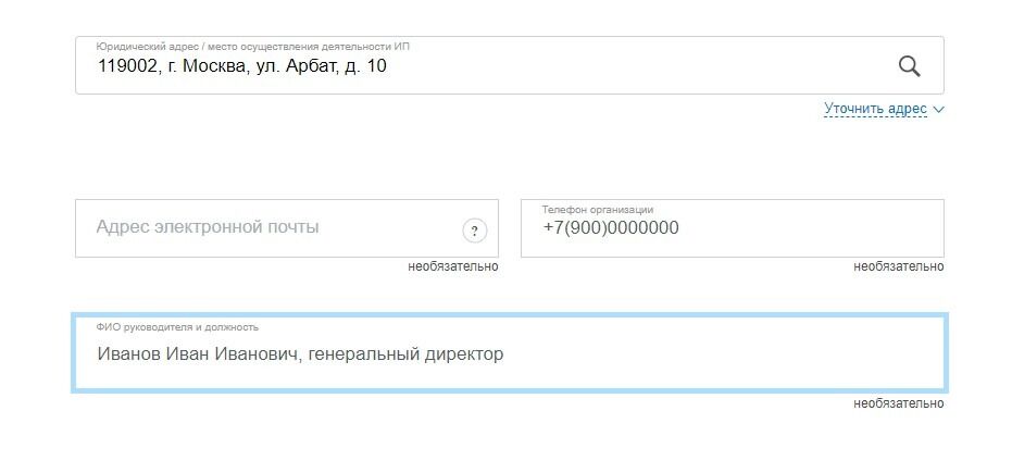 Screenshot of: Укажите ФИО руководителя и должность.