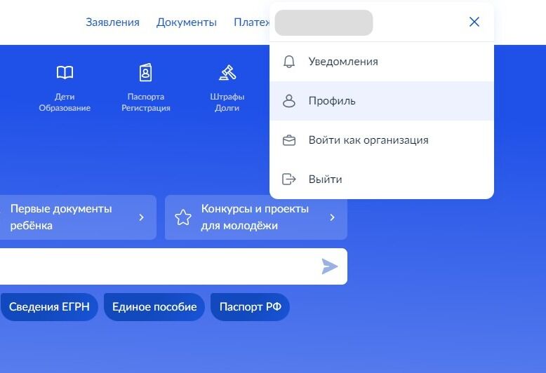 Screenshot of: Выберите "Профиль".