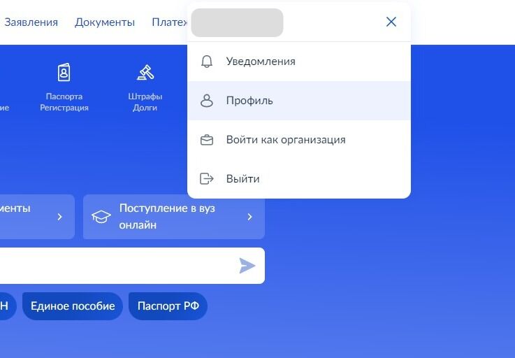 Screenshot of: Выберите "Профиль".