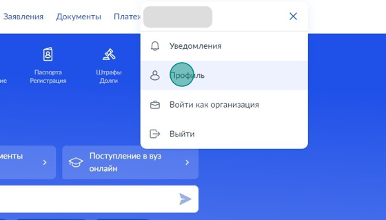 Screenshot of: Выберите "Профиль".