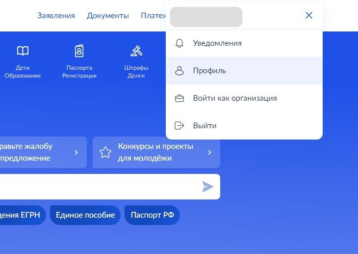 Screenshot of: Выберите "Профиль".
