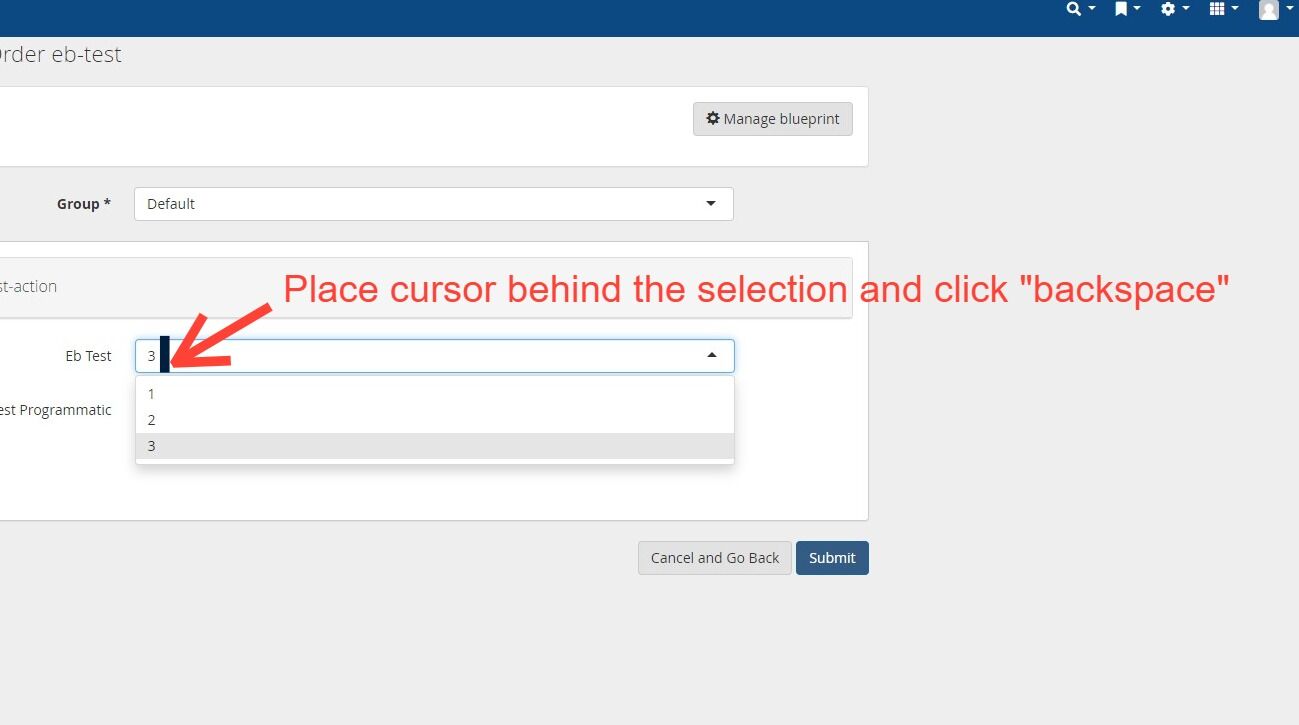 Screenshot of: On the blueprint order page, both static and programmatically generated optional fields can be deselected. Position the cursor behind the selected field and press the backspace key to remove the selection