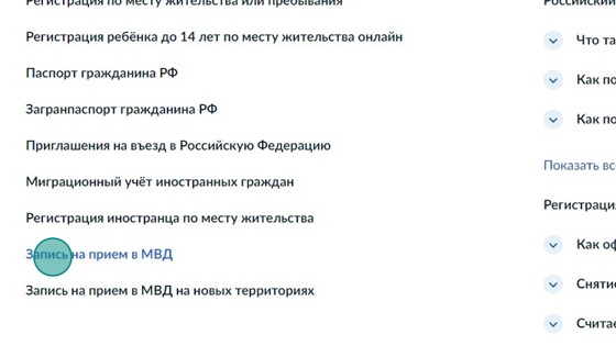 Screenshot of: В разделе "Популярные услуги" выберите услугу "Запись на прием в МВД".