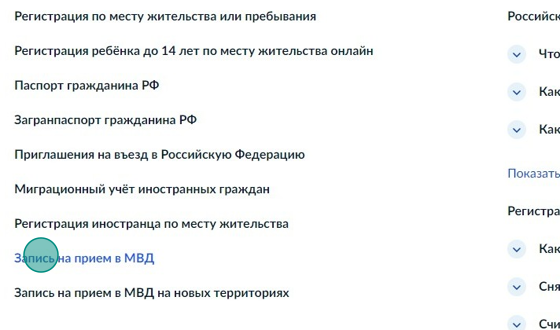 Screenshot of: В разделе "Популярные услуги" выберите услугу "Запись на прием в МВД".