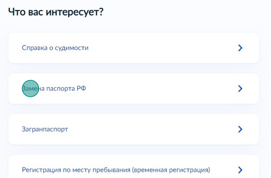 Screenshot of: Выберите из списка "Замена паспорта РФ". 