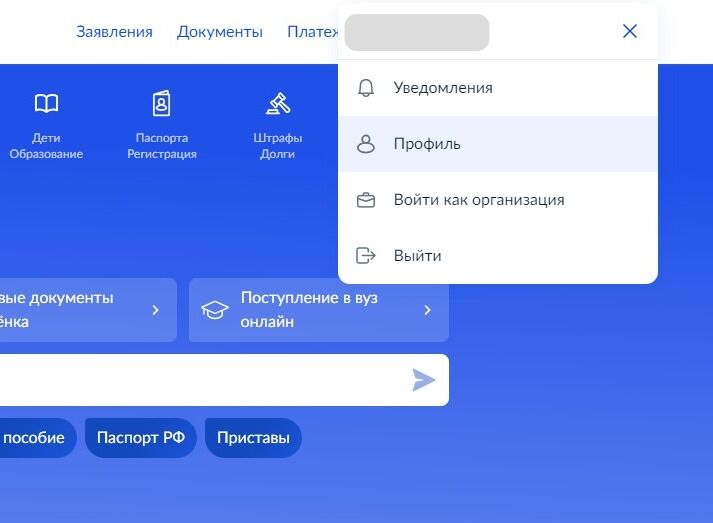 Screenshot of: Выберите "Профиль".