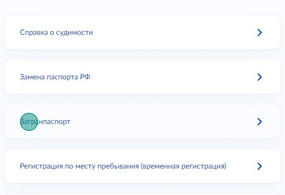 Screenshot of: Выберите из списка "Загранпаспорт".