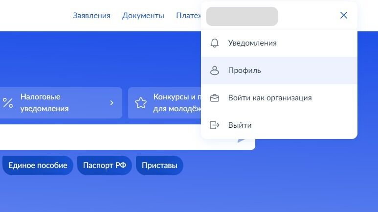Screenshot of: Выберите "Профиль".
