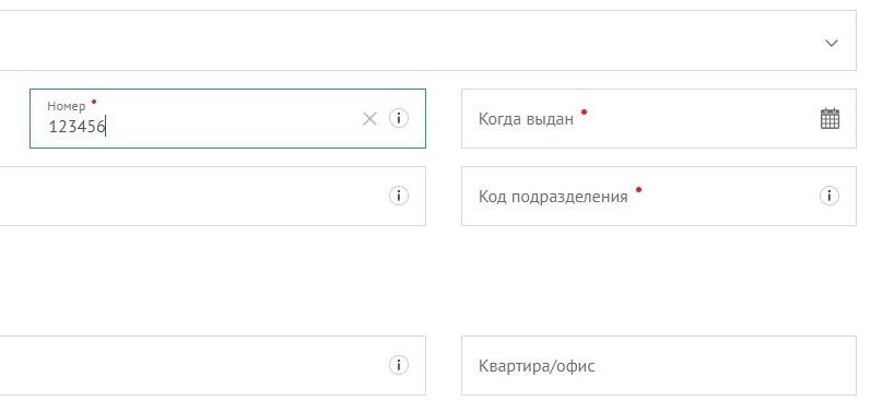 Screenshot of: Укажите дату выдачи документа. 