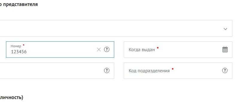 Screenshot of: Укажите дату выдачи документа. 