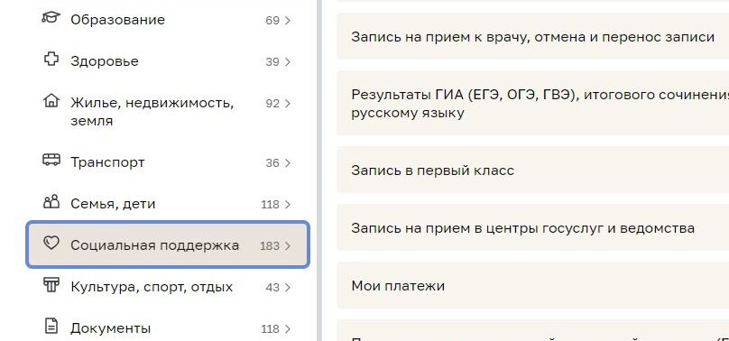 Screenshot of: В открывшемся меню выберите "Социальная поддержка". 