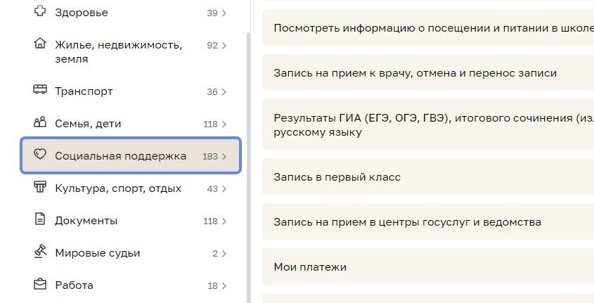 Screenshot of: В открывшемся меню выберите "Социальная поддержка".
