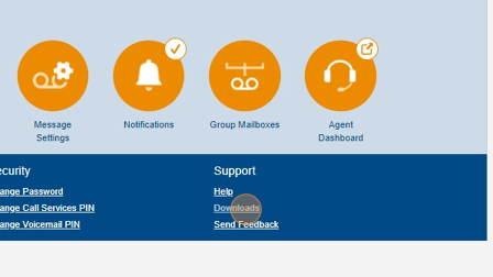 Screenshot of: Click "Downloads"