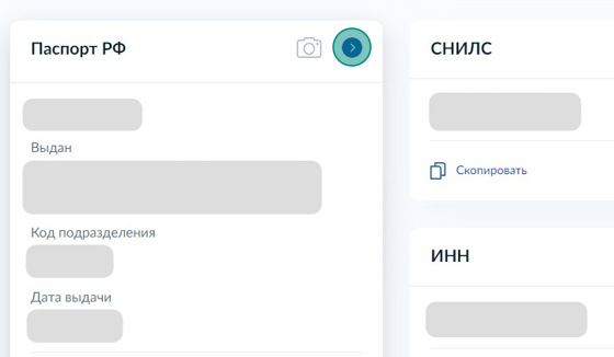 Screenshot of: Выберите "Паспорт РФ" и нажмите значок "стрелочки".