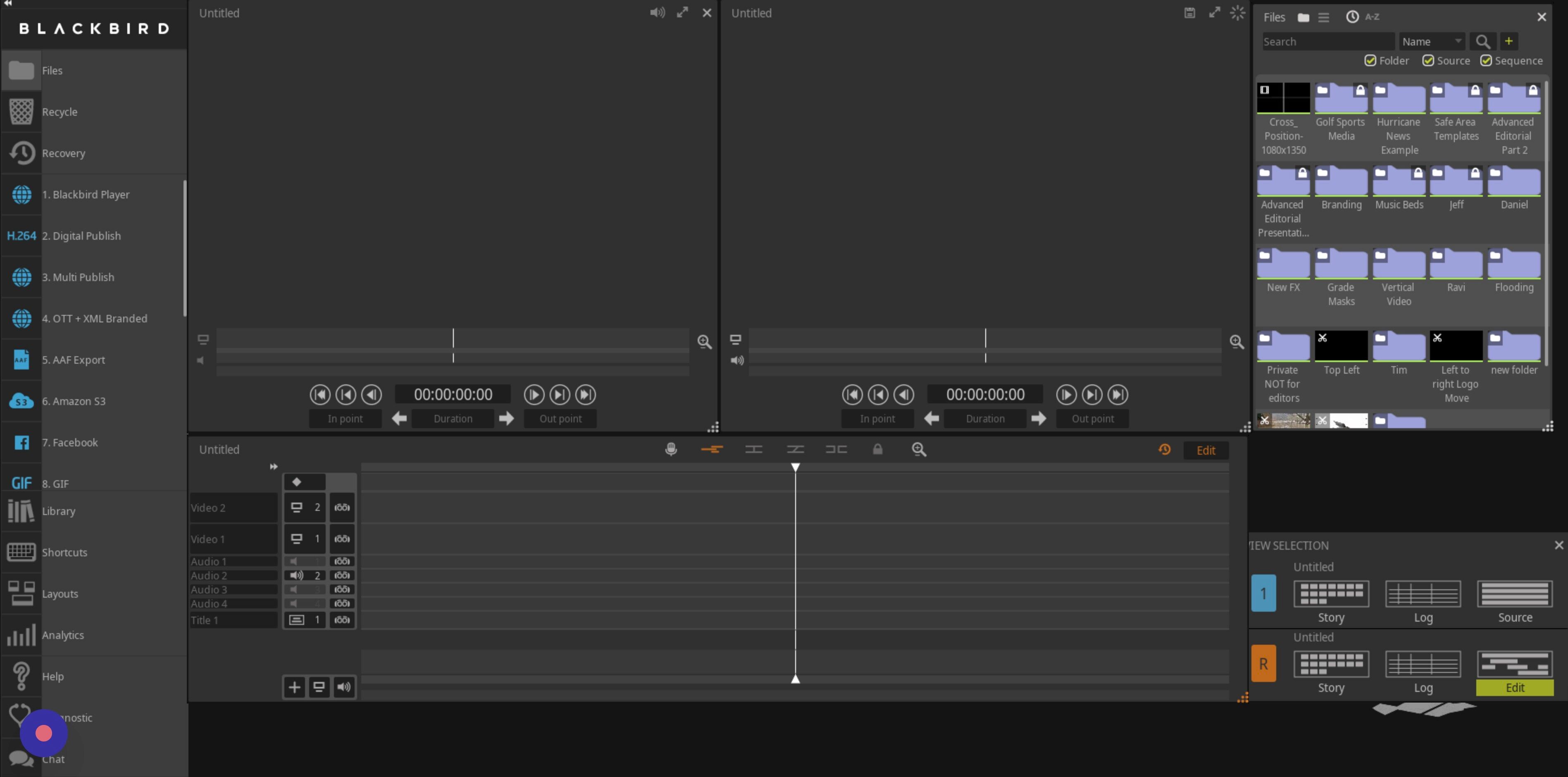 Screenshot of: Blackbird's Story Mode is a feature that displays your clips as a series of thumbnails. It is a useful tool for arranging footage and finding specific clips. 