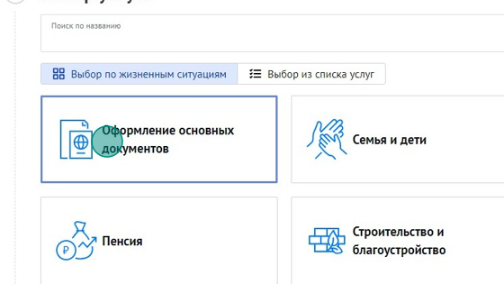 Screenshot of: Выберите услугу "Оформление основных документов".