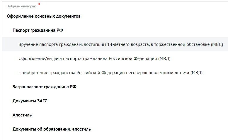 Screenshot of: Выберите "Паспорт гражданина РФ".